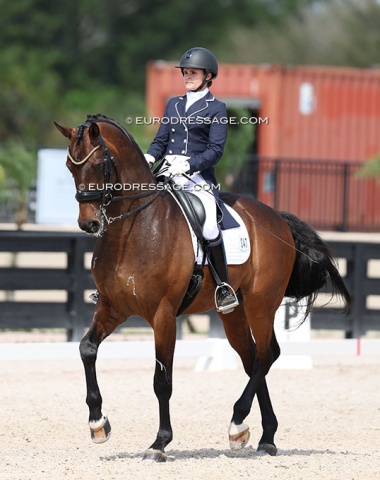 Interesting pair for the future in the national ring: Kendal Cox on Roxanne Christensen's Kenzo (by Bordeaux x Johnson)