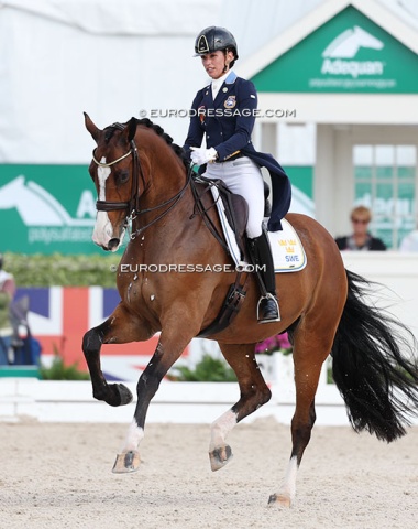 Caroline Darcourt on Tinne Vilhelmson's ride Devanto (by De Chirico). They started out well with a nice frame in the trot extensions but then had a bobble in the piaffe and some more miscommunications. Pity
