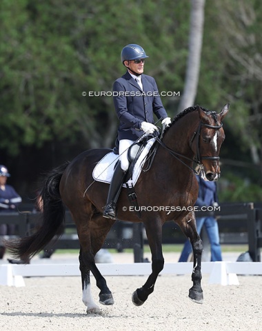 A Wellington long-timer from Canada: Tom Dvorak. Here on the Oldenburg bred Overlord Monty (by Magnefiek out of Rani van Overis, by Feinschnitt I v d Richter).
