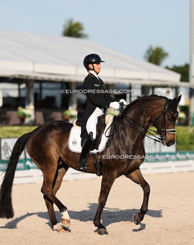 Felicitas Hendricks on Drombusch (by Destano x Dimaggio)