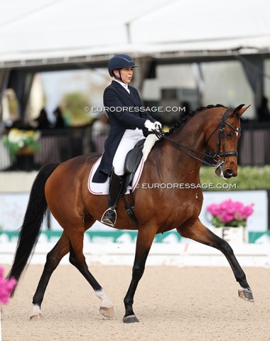 Canadian Jill Irving on small tour horse Knight (by Zack x Krack C)