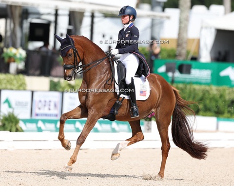 Devon Kane on Vamos (by Vivaldi x Insterburg)