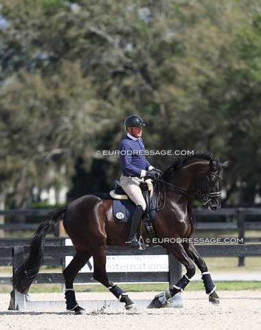 Michael Klimke schooling the highly talented Dante's Peak (by Dante Weltino)