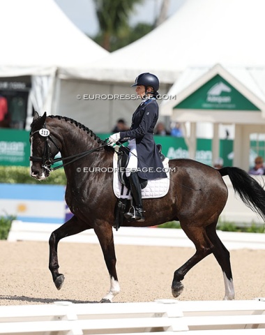 Sharon McCusker on Monard (by Grand Galaxy Win x Sting)