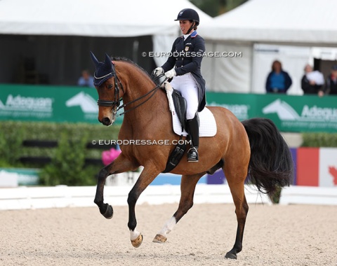 One of the few "A-squad" riders competing in Wellington this season: Kasey Perry-Glass on Heartbeat WP