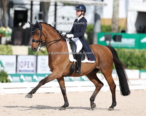 Canada's Megan Shea on 19-year old Sir Schiwago, a third horse in the CDIO Nations Cup, whose FEI career started in Spain (alongside Gigi & Dean Martin)
