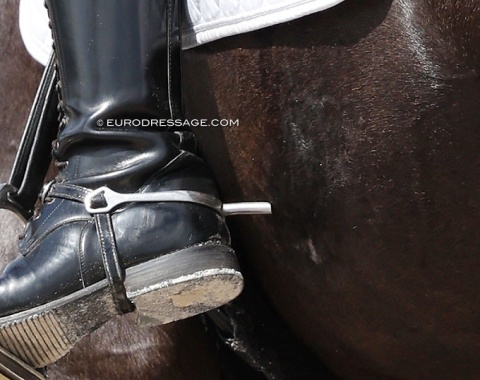 Better quit riding with spurs for a while...