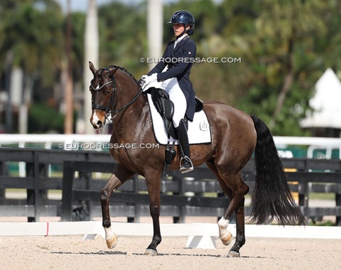 Texas based Nicole Acosta on SPH Dante, a former PSI auction horse trained to Grand Prix by Ingrid Klimke