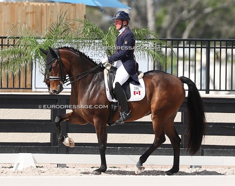 Canadian Diane Creech on a new Grand Prix horse, Julius (by Expression x Cabochon)