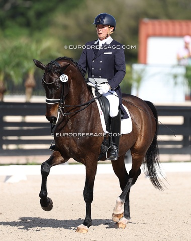 Kiichi Harada on Impression. It's a pity that very little remains of Japan's Tokyo 2020 dressage boosting programme. Hardly any Japanese riders are competing in Europe or the USA anymore