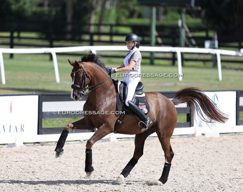 Ashley Holzer training Diane Fellows' Liberty L (by Toto jr x Charmeur)