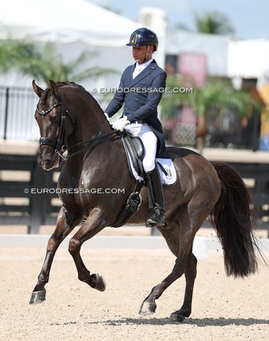 Canadian Olympian David Marcus on PRE bred Urbano FSR II (by Lucero CXLVII x  Faraon XXIV)