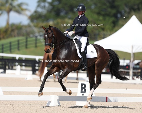 2023 Pan American champion Anna Marek showing young talent: Titan P (by Tolegro x Zhivago)