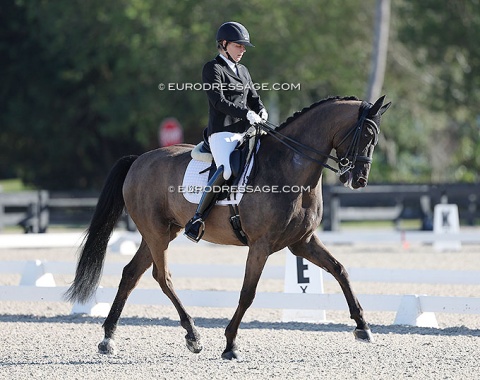 Susan Pape on Shiarz (by Sezuan x San Remo)