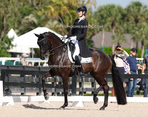 Caroline Roffman on Libertee (by Franklin x Donnerhall)