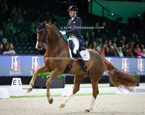 Borja Carrascosa on Sir Hubert (by Sir Heinrich x Florestan)
