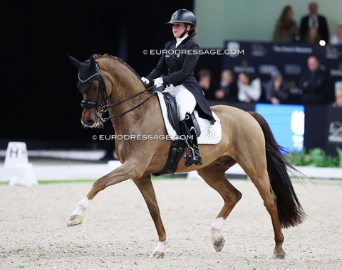Belgian Olympic team reserve rider Charlotte Defalque on her evergreen, 19-year old Botticelli (by Vivaldi x Koss)
