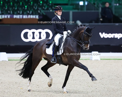Kris de Vries on Lexington (by Dark Pleasure x Patijn)