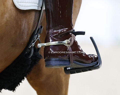 Stirrup