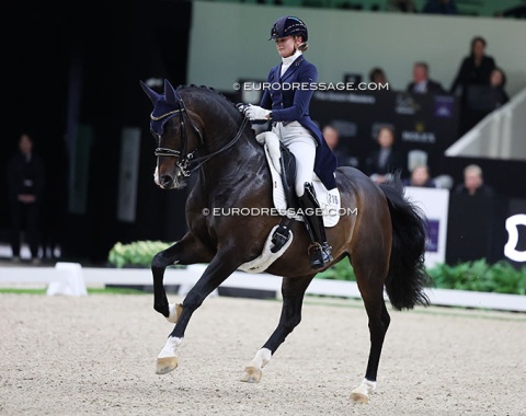Marieke van der Putten on the Danish bred Torveslettens Titanium (by Totilas x Stedinger)
