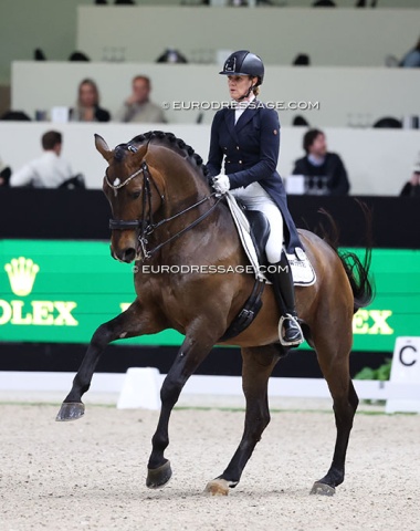 Look who's back: Madeleine Witte-Vrees on the 11-year old Westfalian Elton (by Escolar x De Kooning)
