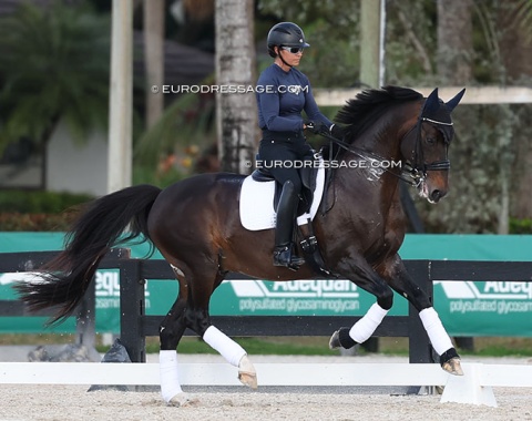 Is 2016 U.S. Olympic team rider Allison Brock back at Grand Prix level? She's close. She competed the Kundrun's Igby (by Desperado x Sir Sinclair) in the Inter II