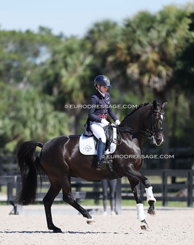 Susan Dutta on her home bred mare Jyotika DC (by Everdale out of Manette DC (by Master x Fruhling), which she showed internationally between 2008 - 2010.