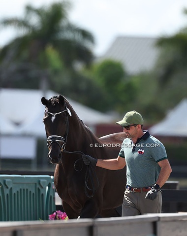 U.S. Olympic team pair Marcus Orlob and Jane trotting up for their first CDI of 2025 at the Palm Beach Derby
