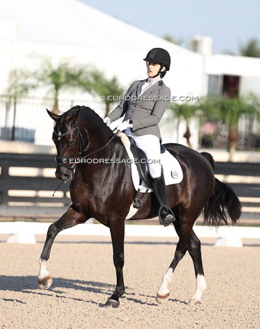 Charlotte Jorst bred this 5-year old Gameboy (by Grand Galaxy Win out of Fraktura (by Ferro). Sold to the rider Sarah Piskorski