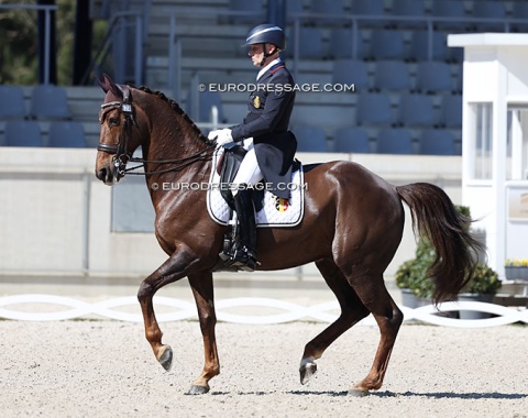 Belgian Jeroen Devroe has two new Grand Prix horses for the CDI ring: This is Jackpot (by Everdale x Jazz)
