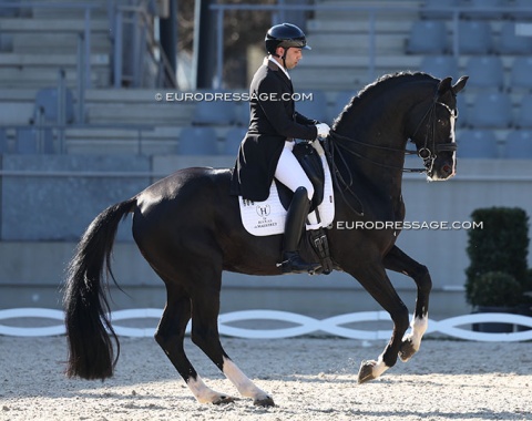 Manuel Dominguez Bernal on the French owned Danciano de Malleret (by Dancier x Rotspon)