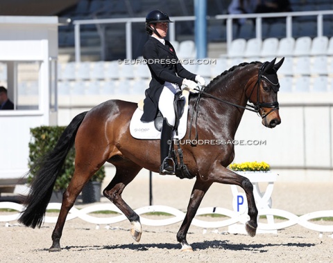 Danish young rider Freja Oline Skovhus Lindblad on Egelund Yurrell (by Farrell x Temple Wind xx)