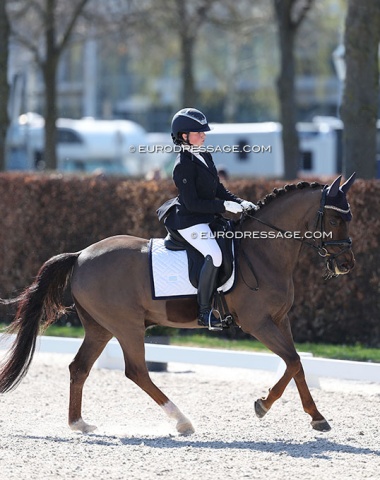 The 19-year old Caspar W takes his fourth rider in the CDI ring. After Demi van Broeck, Caro van Sinay, and Helena Theeuwes, it's now Emilie Marrannes turn.