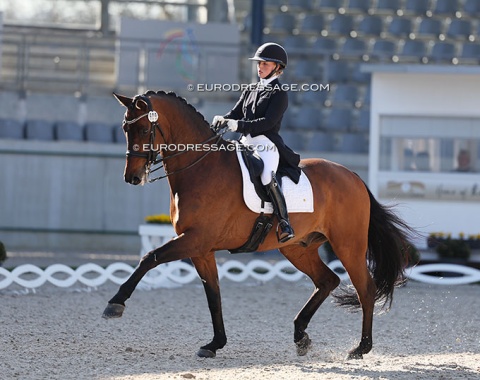 Rowena Weggelaar on Don Quichot