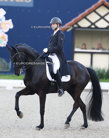 Tobias Nabben on Forster (by Finest x Boston). Not the biggest mover but he conjured a great piaffe-passage