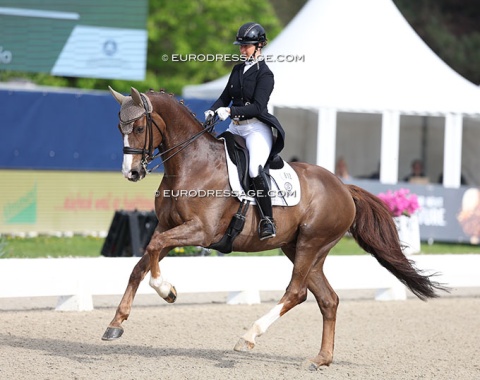 Alina Rohricht on the Taiwanese owned Dolcetto di Maggio (by Dimaggio x Santander H), the full brother of British 2018 WEG Team horse Dono di Maggio (Emile Faurie)