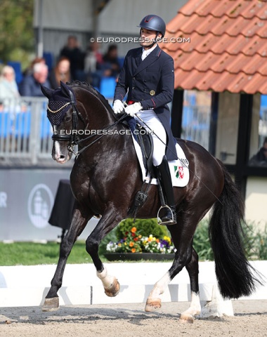 Austrian Manuel Springhetti on the NRW state stud stallion Danestos (by Dante Weltino)