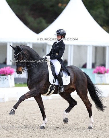 Jessica Süss on Tom Vornholt's Westfalian Dynoro (by Danone x Dresemann)