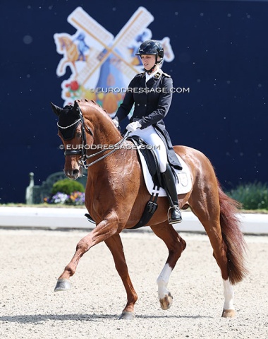 One rarely gets to see Celle state stud stallions in big arenas except local shows in the Verden area. In Hagen Janine Tietze rode the popular breeding stallion Von Und Zu (by Vitalis x Floriscount)
