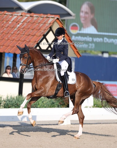 Antonia von Dungern on Levante