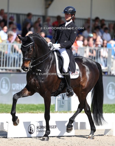 Benjamin Werndl on Great Gatsby (by Grand Galaxy Win x Don Romantic). The Werndls also have a second horse with the same name: the GP-level trainer Great Gatsby PS (by Grey Flanell x Sir Donnerhall).