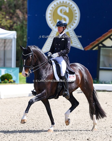 Benjamin Werndl rode two horses in the "Nurnberger". This is Zieta (by Zalando x Briar)