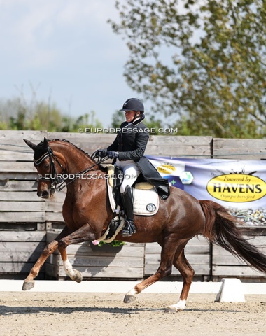 Evergreens: 65-year old Dominique Mohimont made her return to the CDI ring after a 3-year break with Toureine du Meugon (by Donnerball x Wolkentanz II)