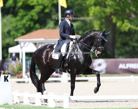 Remy Bastings on Ema Kopuleta's Hanoverian Forrest Gump (by Fidertanz x De Niro)