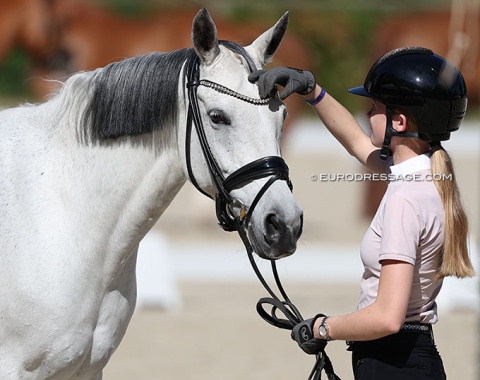 Alexine Herweyers straightening La Perla's forelock