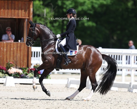 The winner of the Young Riders team test: Mathilde Juglaret on Lightning Star