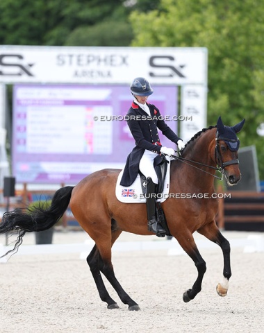 Lewis Carrier on 17-year old KWPN gelding Diego (by Spielberg x Welt Hit II)