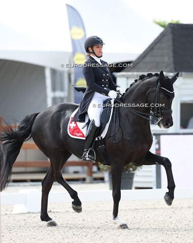 Swiss Delia Eggenberger on piaffe-passage machine Santa Maria. Bought at Hof Kasselmann, she is by Sandro Marinero (by St Moritz x Cordoba)
