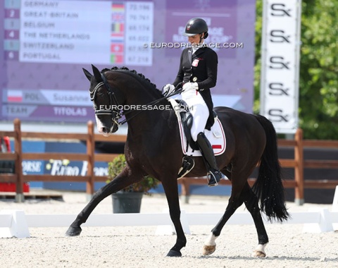 The German based Susanne Krohn trained Titolas (by Totilas) up from young horse level to Grand Prix