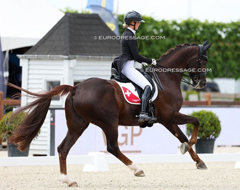 Switzerland's Olympic individual rider in Paris: Andrina Suter. Here on 12-year old Hanoverian Del Curto (by Dimaggio x Wolkentanz II)